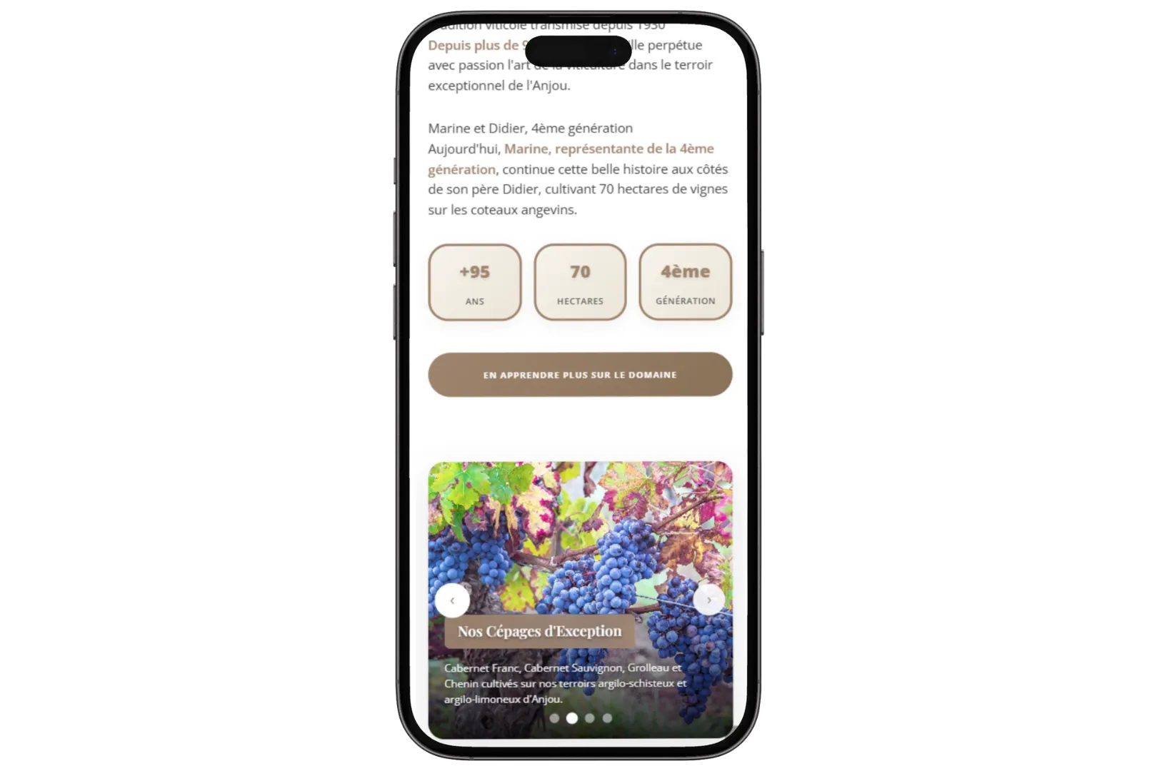 Domaine Delaunay - Mockup iPhone page d'accueil