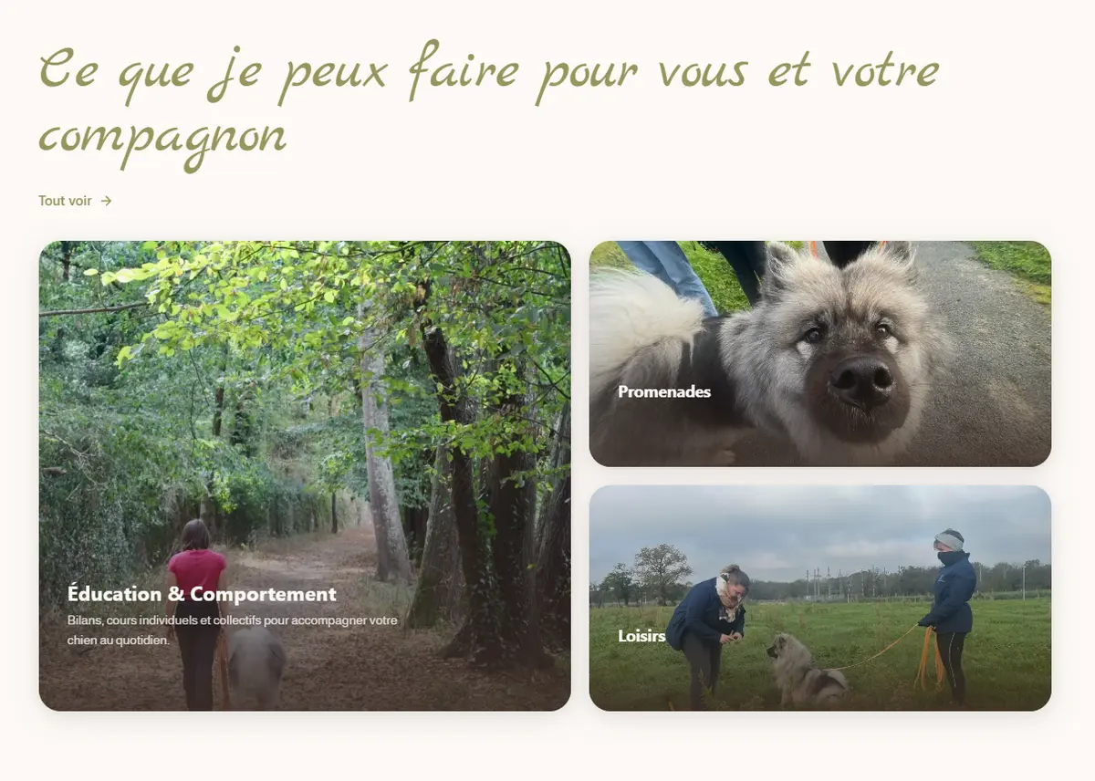 Section « Ce que je peux faire pour vous et votre compagnon » du site Sowaf : trois cartes photo pour l'éducation et le comportement, les promenades et les loisirs